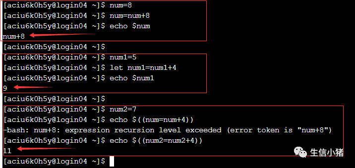 Shell Let命令计算 开发检测nginx服务是否运行的脚本 Expr命令 墨天轮